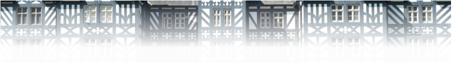 Detail of Gregynog Hall, adapted from a photograph by Aidan Byrne