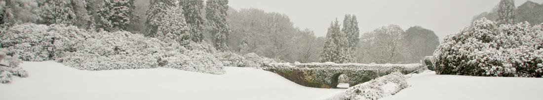 Image, taken from an original photograph © Aidan Byrne), showing the snow-covered grounds at Gregynog Hall in March 2013